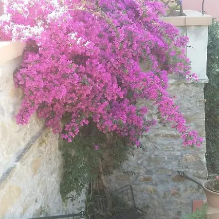 Apartment Casa Delle Ortensie *